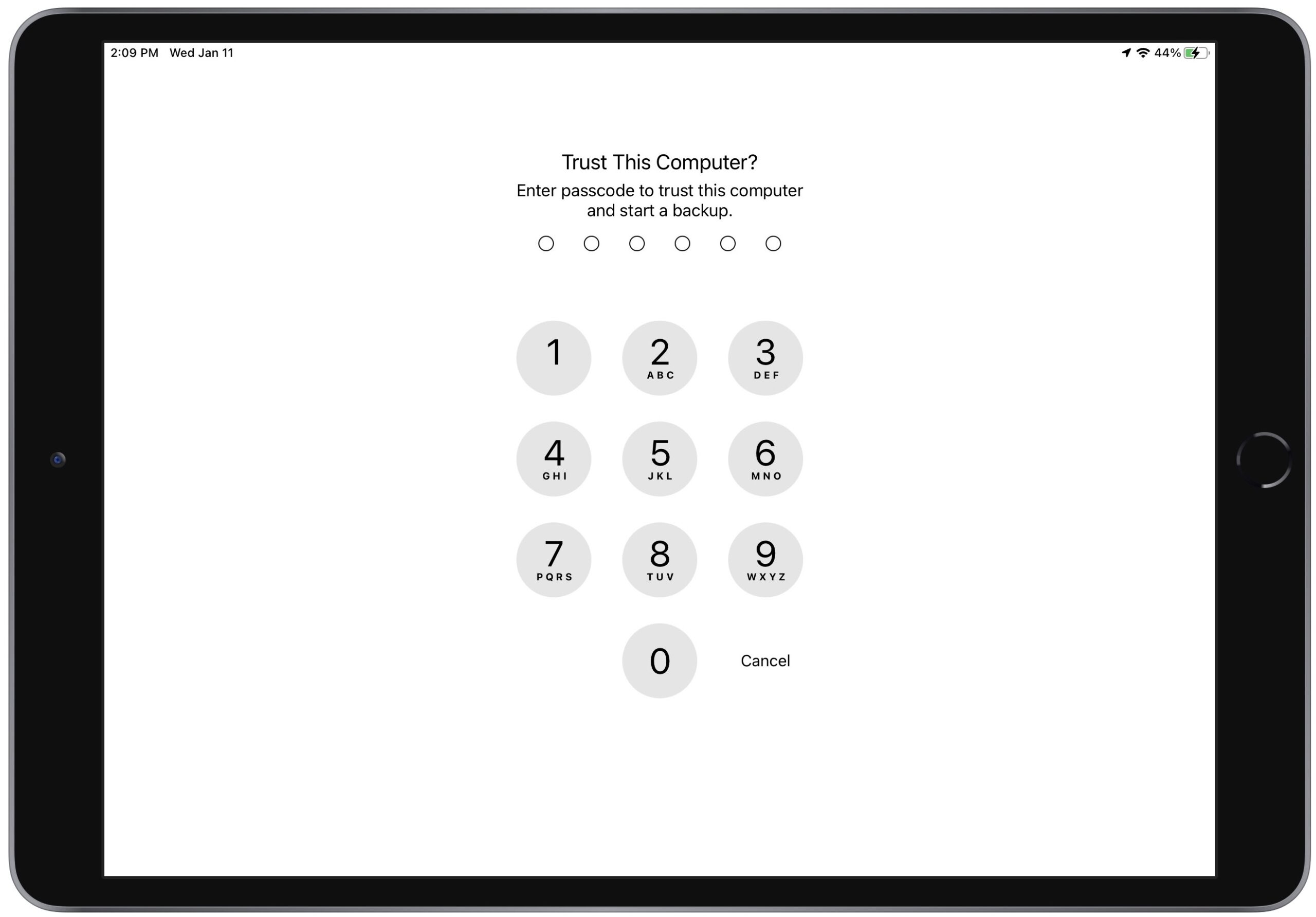If prompted, enter the passcode on the iPad or choose to trust the computer.
Select the iPad in iTunes and click on Restore iPad.