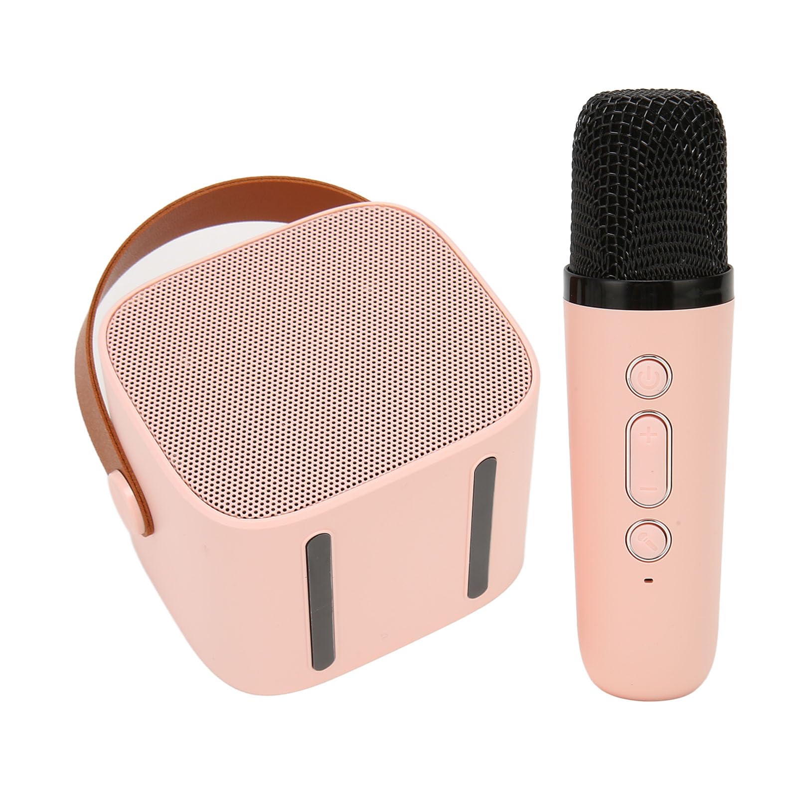 Microphone and speaker