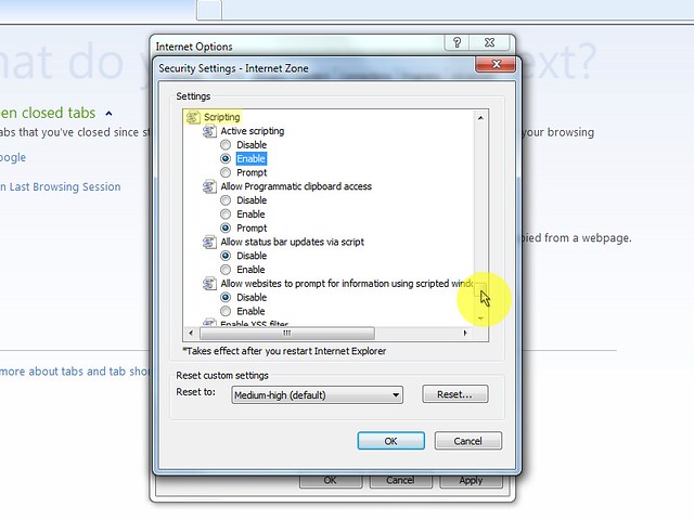 Screenshot of a browser with Active Scripting, ActiveX, and Java settings.