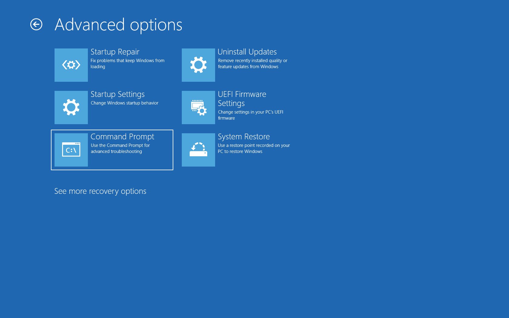 Select the Troubleshoot option from the Advanced Startup menu.
Choose Advanced options to proceed.